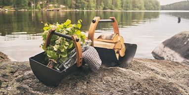 Lögardagen