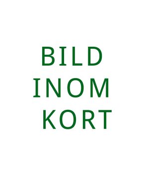 Golvglas till ild 15 eco