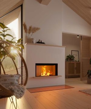 insats Spartherm Premium V-1V-87h miljö